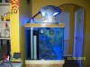 Maristar 250 006.jpg