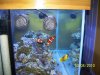Maristar 250 009.jpg