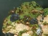 tank 042.jpg