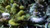 2010-11-15_21-29-31_75.jpg