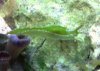 snail 1.jpg