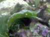 snail 2.jpg