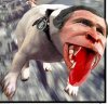 mad dog.JPG