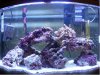 tank part two.jpg