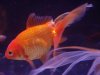 DSC01086.JPG
