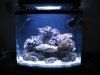 aquapod 24 003.jpg