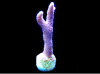 45356d2c0d758b1785a25848630240e9e9ba855e.png