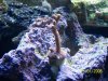 102_1071.jpg