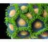 4aca16d761e794eeb60b8296b41637665cea3bf9.png