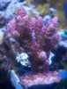 2011-01-22_11-10-00_447.jpg