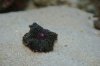 DSC04740.jpg
