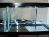 DSC06542.jpg