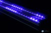 OrphekML-T5-light-on--moon-light+uv-[1].jpg