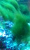 IMAG0233.jpg