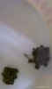 IMAG0126.jpg