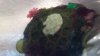2011-08-28_18-47-42_13_1_8_1.JPG