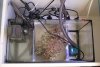 DSC02917.JPG