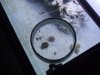 DSCF3539.jpg