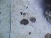 DSCF3541.jpg