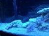 IMG_20111121_195222.jpg