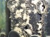 100_1432.JPG