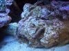 100_0357.JPG