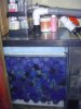 DSC02030.jpg
