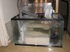 sump1.jpg