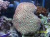 100_4999.JPG