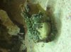 new tank.jpg