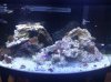 46g 1.jpg