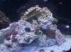 46g 4.jpg