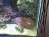 Rainbow bubble tip.jpg