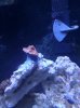 IMG_20120215_174018.jpg
