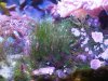 IMG01784-20120505-1642.jpg