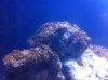 IMG_0924.jpg