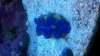 2012-05-18_17-07-41_518.jpg