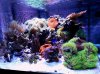 20120705_205541.jpg