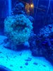 IMG_20120802_205532.jpg