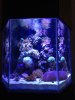 photo(26).JPG