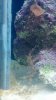 2012-08-31_16-19-14_606~1.jpg