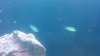 2012-08-31_16-19-25_614~1.jpg