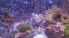 2012-09-12_18-08-07_576.jpg