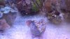 2012-09-12_18-07-54_810.jpg
