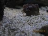 IMG_2240.jpg