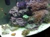 20130119_095111.jpg