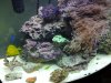 20130119_095106.jpg