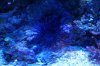 DSC03307.JPG