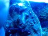 20130317_163547.jpg