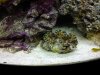 20130110_204448.jpg